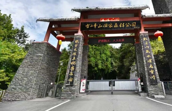 雾锁雪峰藏仙境，年味深处觅乡愁——雪峰山国家森林公园观摩记